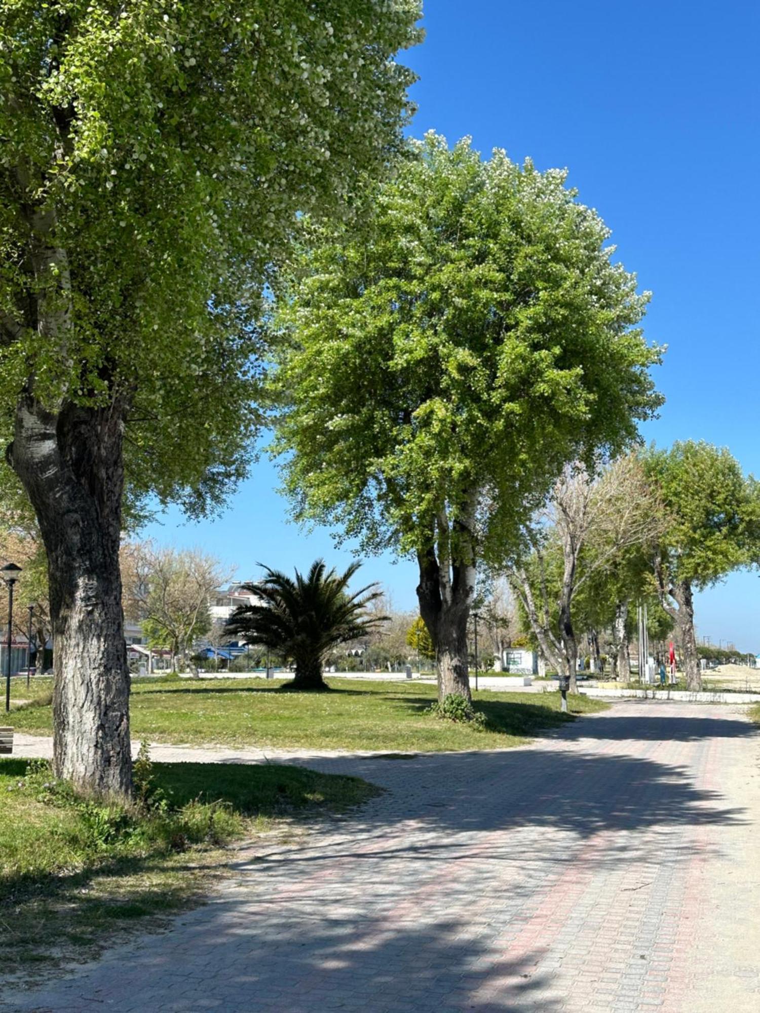 Olympic Beach Rooms Εξωτερικό φωτογραφία